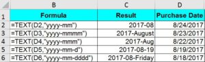 TEXT Function Examples